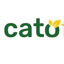 Cato Foods