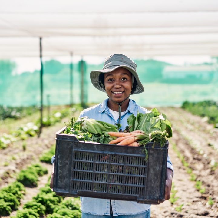 Portrait of happy young farmer holding a crate full of freshly harvested raw produce in season. Smiling woman working on an organic and sustainable farm garden to cultivate vegetation in agribusiness